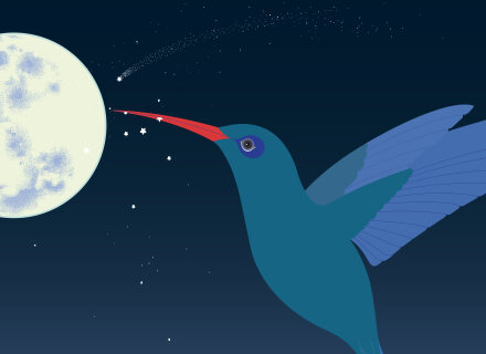 BiblioWeekend: Familien-Sonntag